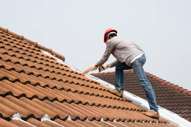 Best Asphalt Shingle Roofing  in Mira Monte, CA